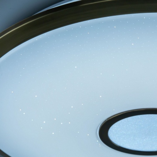 Накладной светильник Citilux Старлайт Смарт CL703A83G в Сельцо фото 11