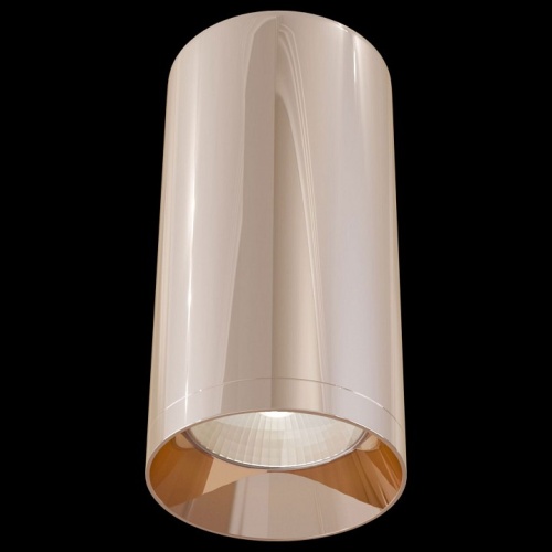 Накладной светильник Maytoni Alfa C010CL-01RG в Ермолино фото 3