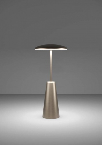 Настольная лампа декоративная Eglo PICCOLA 900924 в Нижнем Новгороде фото 3