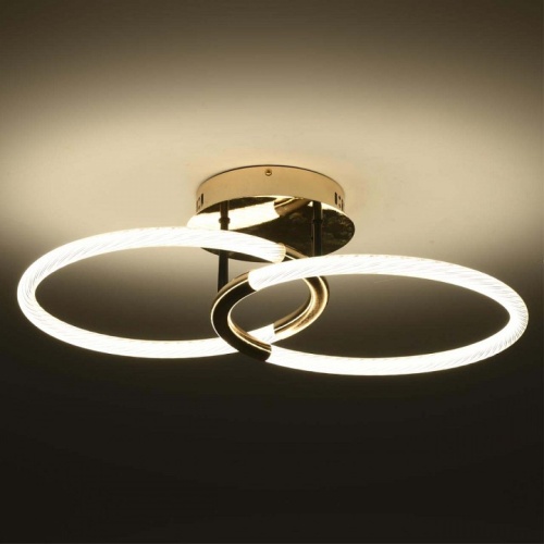 Накладной светильник Lumion Lara 6545/61CL в Нижнем Новгороде фото 2