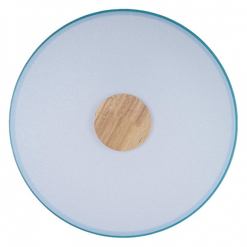 Накладной светильник Loft it Axel 2 10003/24 Blue в Нижнем Новгороде фото 5