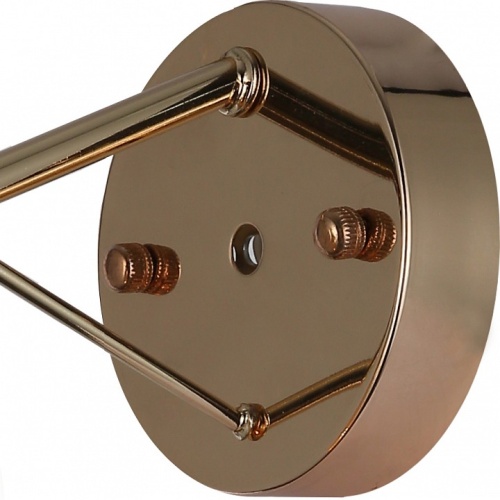 Бра Favourite Zaria 2739-1W в Нижнем Новгороде фото 2