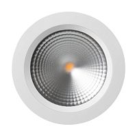 Светодиодный светильник LTD-187WH-FROST-21W Day White 110deg (Arlight, IP44 Металл, 3 года) в Новой Ляле