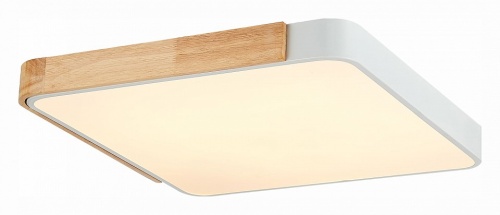 Накладной светильник EVOLUCE Festa SLE201252-01 в Нижнем Новгороде фото 3