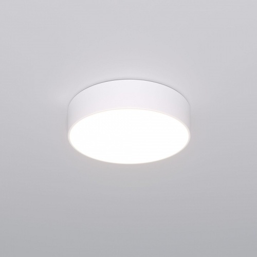 Накладной светильник Eurosvet Entire 90318/1 белый в Качканаре