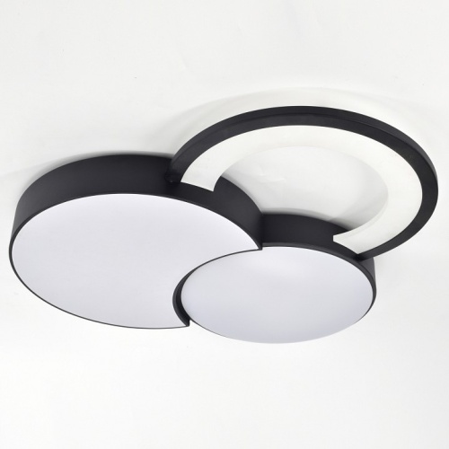 Потолочная люстра Rivoli Aliona Б0066452 в Нижнем Новгороде