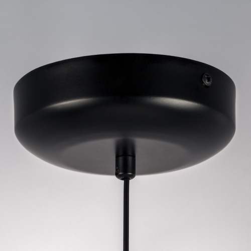 Подвесной светильник Lightstar Genova 610106 в Нижнем Новгороде фото 6