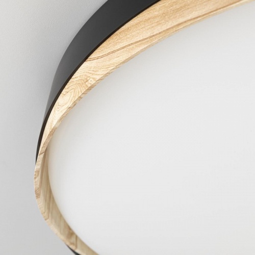 Накладной светильник Citilux BONNY CL754451G в Нижнем Новгороде фото 2