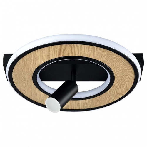 Накладной светильник Lumion PINE 6572/24CL в Нижнем Новгороде