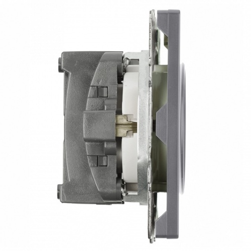 Розетка с заземлением и со шторкой, без рамки Stekker Эмили 50243 в Нижнем Новгороде фото 3