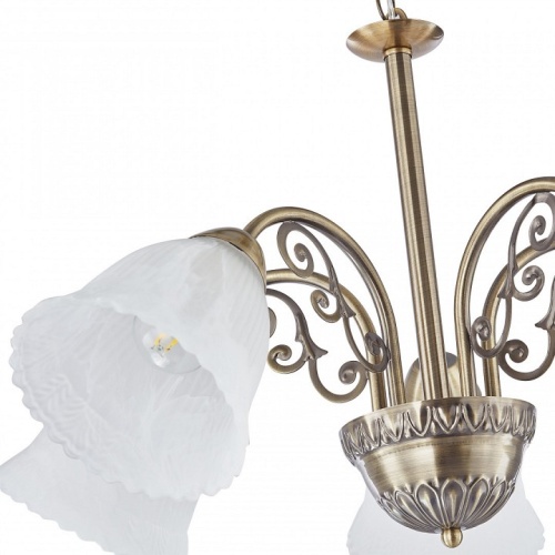 Подвесная люстра Arte Milano Amalfi-8544 338544/5 AB в Нижнем Новгороде фото 3