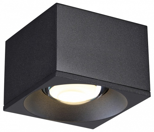 Накладной светильник Novotech Patera 358654 в Нижнем Новгороде фото 4