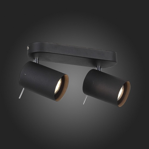 Спот ST-Luce Fanale SL597.401.02 в Нижнем Новгороде фото 4