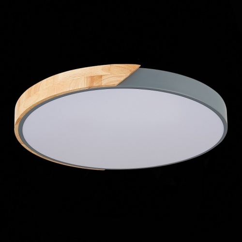 Накладной светильник EVOLUCE Festa SLE200972-01 в Нижнем Новгороде фото 8