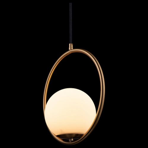 Подвесной светильник Loft it Glob LOFT2600-A в Нижнем Новгороде фото 2