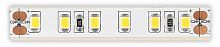 Лента светодиодная ST-Luce  ST1001.310.65.1 в Нижнем Новгороде