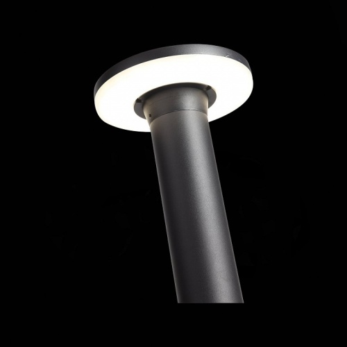 Наземный высокий светильник ST-Luce Contario SL087.415.01 в Соколе фото 7