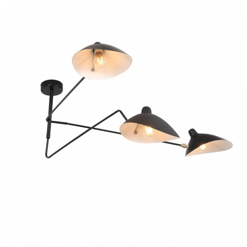 Люстра на штанге ST-Luce Spruzzo SL305.402.03 в Нижнем Новгороде фото 6