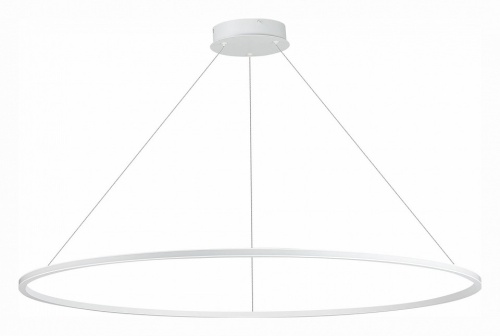 Подвесной светильник ST-Luce ST604 OUT ST604.543.46 в Нижнем Новгороде фото 3