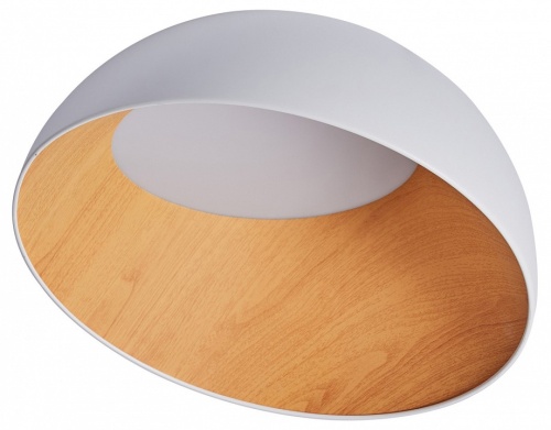 Накладной светильник Zortes Baum ZRS.01201.19 в Нижнем Новгороде