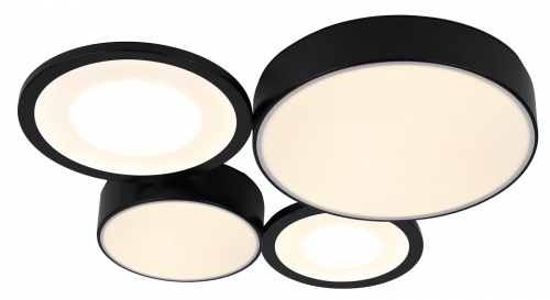 Потолочная люстра Rivoli Aliona Б0066451 в Нижнем Новгороде фото 3