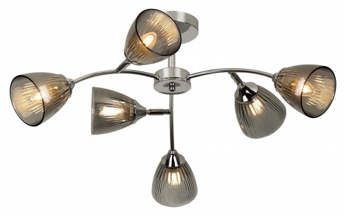 Люстра на штанге Rivoli Francheska Б0068457 в Нижнем Новгороде фото 3