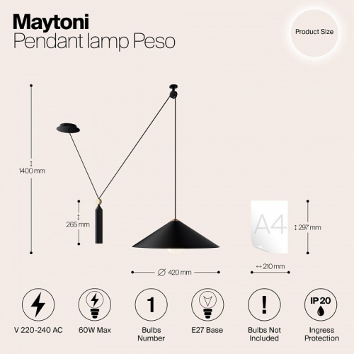 Подвесной светильник Maytoni Peso P080PL-01B в Кадникове фото 7