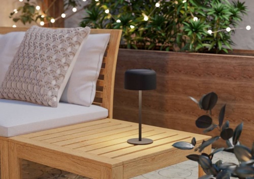 Настольная лампа декоративная Eglo ROCCANOVA 901889 в Нижнем Новгороде фото 2