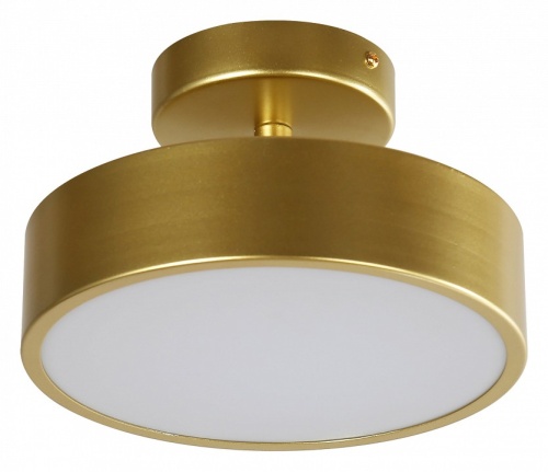 Светильник на штанге F-promo Atma 3059-2P в Нижнем Новгороде