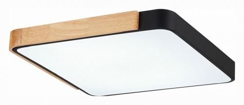 Накладной светильник EVOLUCE Festa SLE201242-01 в Нижнем Новгороде фото 4