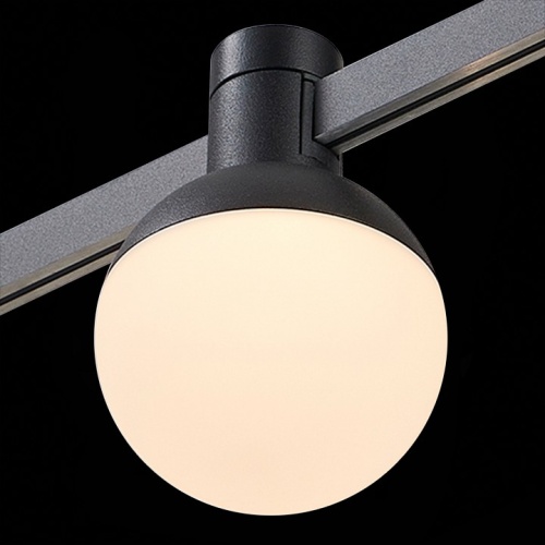 Светильник на штанге ST-Luce Farm ST815.406.05 в Нижнем Новгороде фото 2