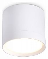 Накладной светильник Ambrella Light TN TN5350 в Нижнем Новгороде