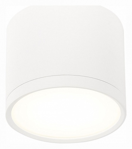 Накладной светильник ST-Luce Rene ST113.542.09 в Нижнем Новгороде фото 6