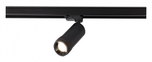 Светильник на штанге ST-Luce  ST691.436.20 в Нижнем Новгороде фото 2