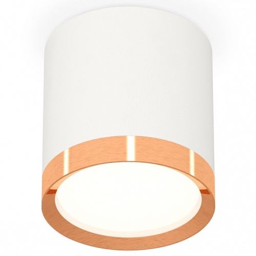 Накладной светильник Ambrella Light XS XS8141005 в Нижнем Новгороде