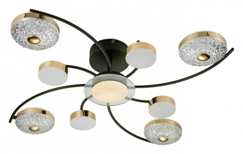 Потолочная люстра Escada Liberta 10208/8LED в Нижнем Новгороде фото 7