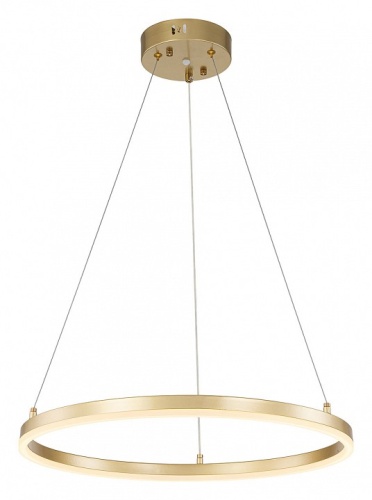 Подвесной светильник Escada Void 10254/1LED Gold APP в Туле фото 4