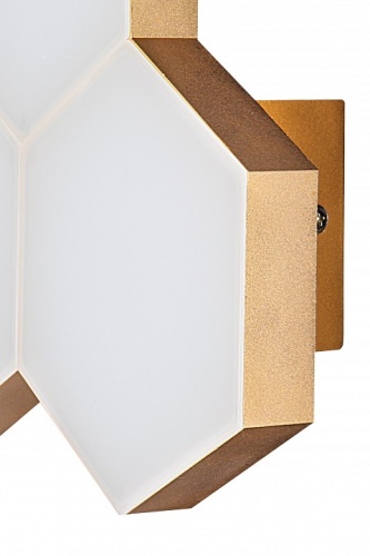 Накладной светильник Lightstar Favo 750633 в Нижнем Новгороде фото 2