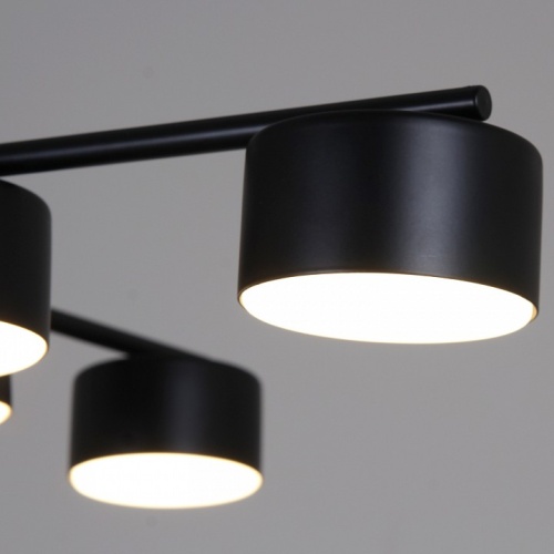 Люстра на штанге 03725-0.3-06 BK GX53 в Нижнем Новгороде фото 3