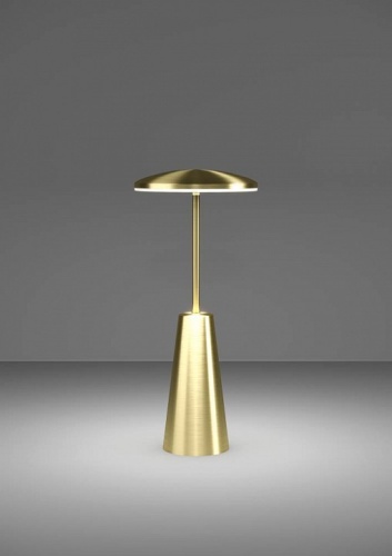 Настольная лампа декоративная Eglo PICCOLA 900923 в Нижнем Новгороде фото 4