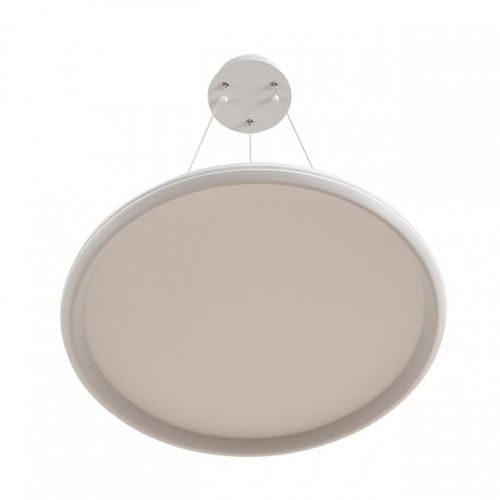 Подвесной светильник Lumion LEDIO 8380/45L в Нижнем Новгороде фото 9