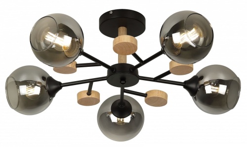 Люстра на штанге Rivoli Elouisa Б0068416 в Нижнем Новгороде фото 11