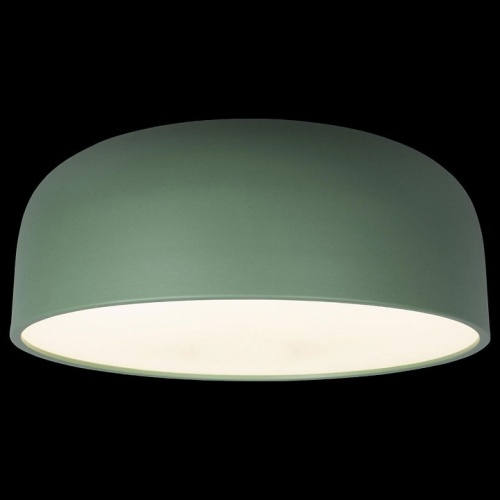 Накладной светильник Loft it Axel 10201/480 Green в Нижнем Новгороде фото 2