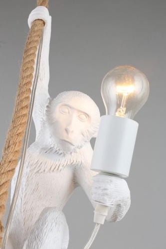 Подвесной светильник Aployt Magali APL.309.06.01 в Нижнем Новгороде фото 13