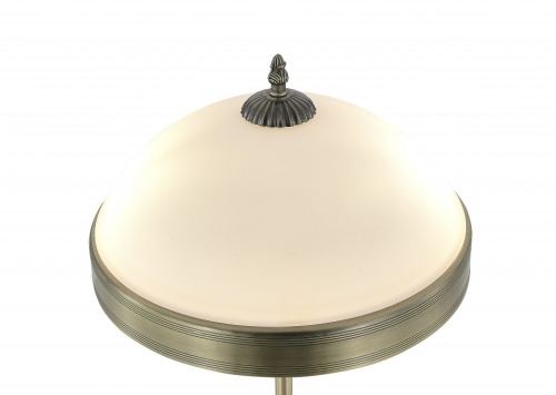 Настольная лампа декоративная MyFar Biene MR2522-2T в Нижнем Новгороде фото 3