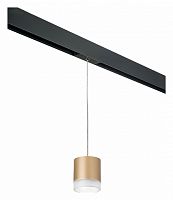 Подвесной светильник Lightstar Rullo PRORP349080 в Нижнем Новгороде