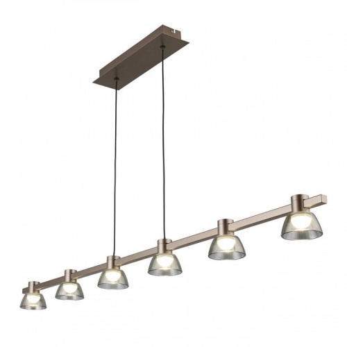 Подвесной светильник Aployt Rezeda APL.788.03.06 в Нижнем Новгороде фото 5