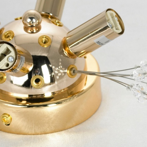 Потолочная люстра Lussole Davie LSP-8781 в Нижнем Новгороде фото 4