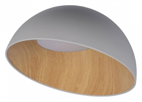 Накладной светильник Loft it Egg 10197/500 Grey в Волгограде