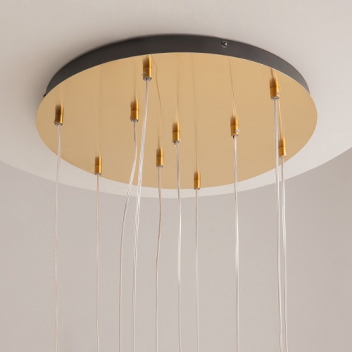 Подвесной светильник Maytoni Biology MOD367PL-L30BBSK в Нижнем Новгороде фото 4